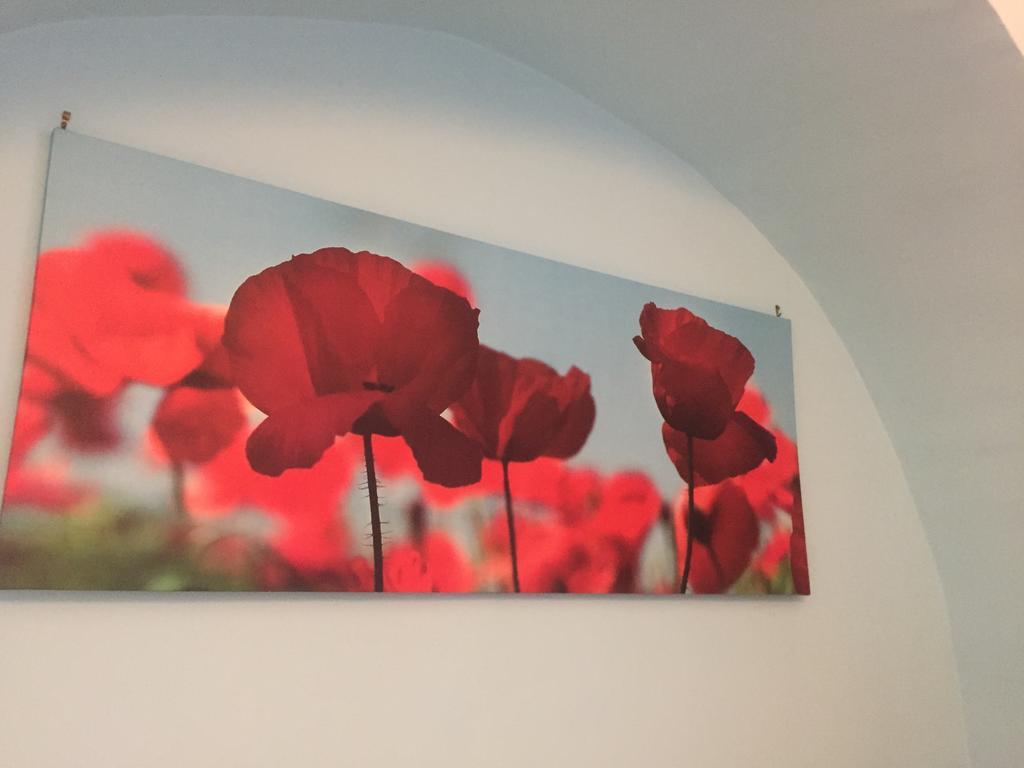 La Rosa Blu 2 Bed and Breakfast Santeramo in Colle Εξωτερικό φωτογραφία